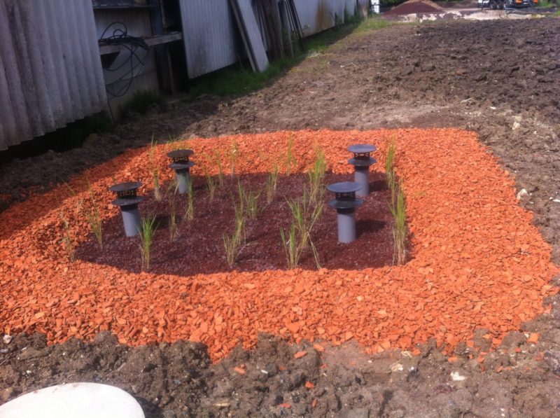 FILTRE A ROSEAUX ASCEBO